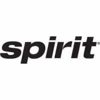 spirit logo for Top Executive Search Firm in Florida