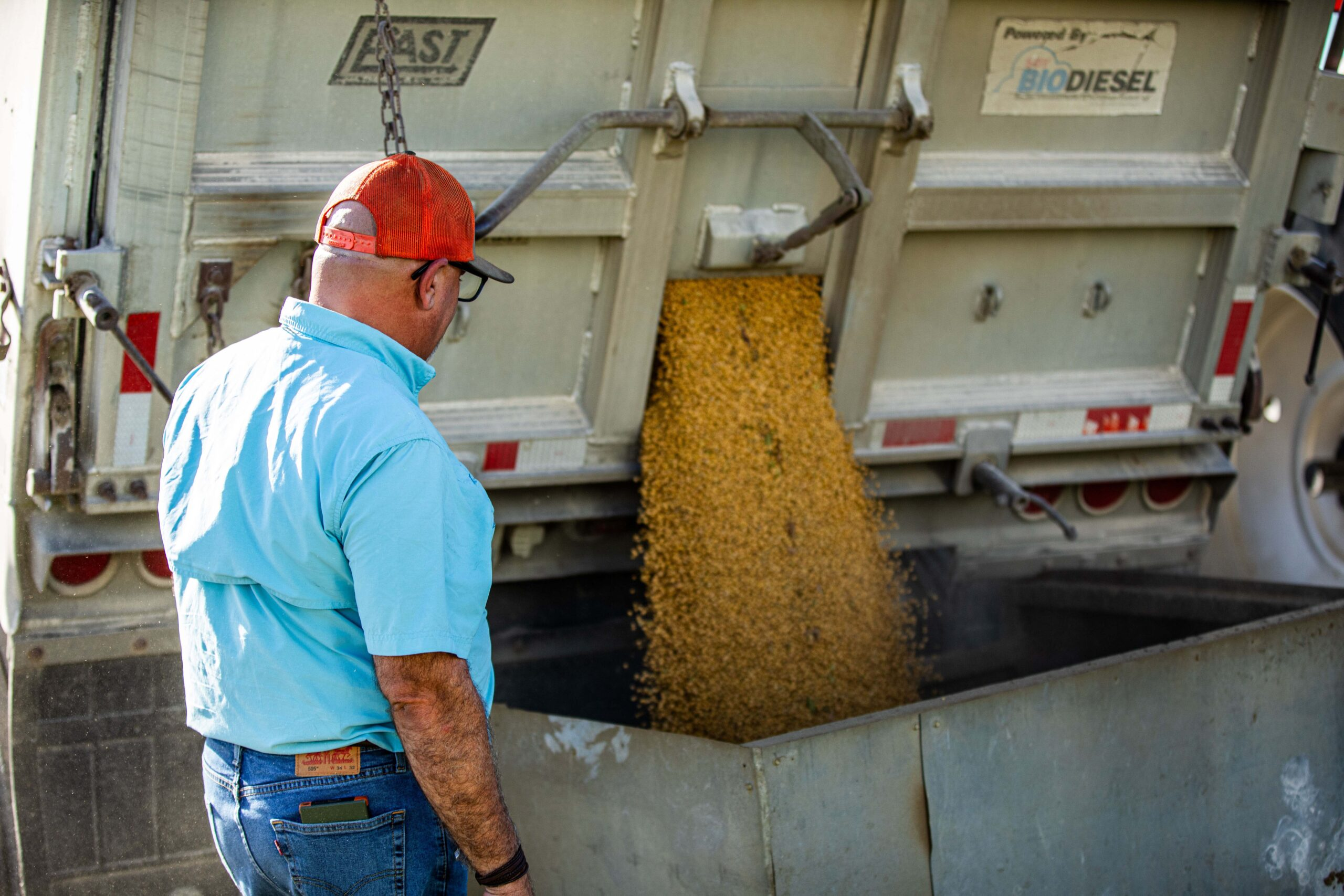 bioenergy sector for How Renewable Fuels Are Driving Clean Energy Growth and Jobs