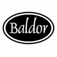 blador logo for Top Executive Search Firm in Florida