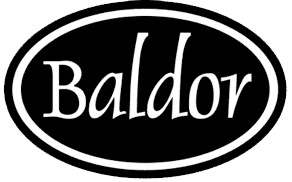 Baldor logo for Build Your Best Team Yet.