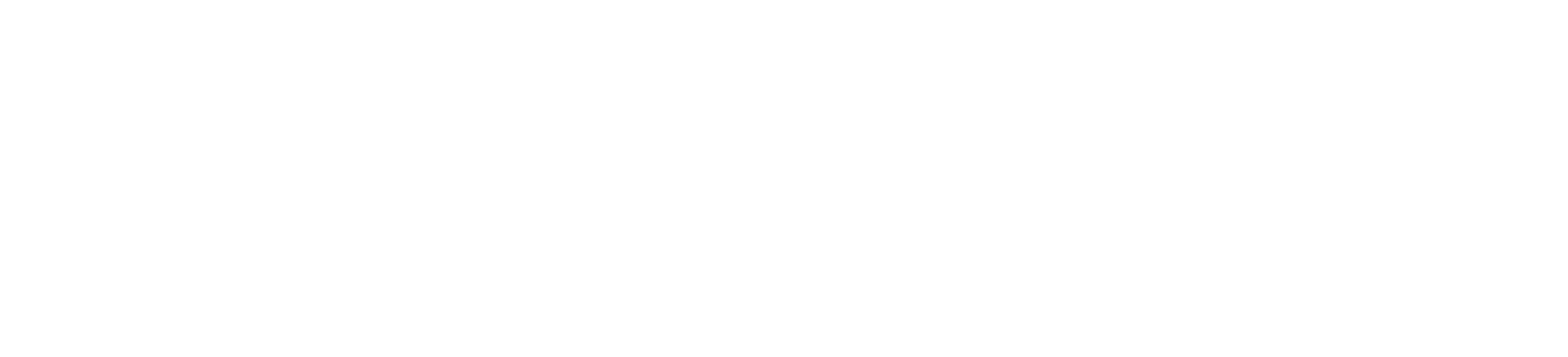 NorthMark Strategies